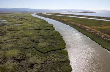 Marsh Channel