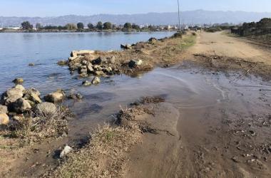 Berkeley Meadow in King Tide
