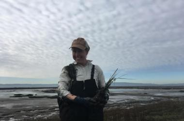 Planting native plans after invasive removal