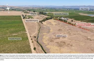 huichica creek photo
