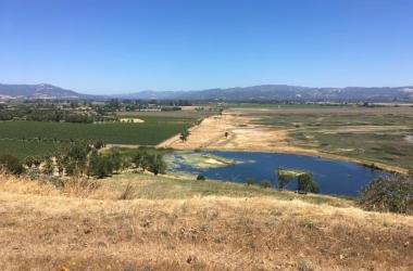 Sonoma Creek Baylands
