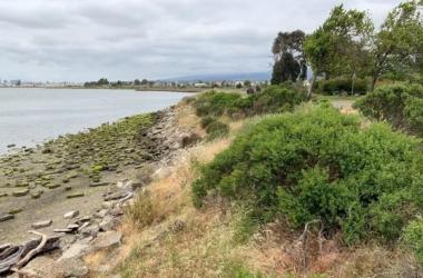 MLK Shoreline