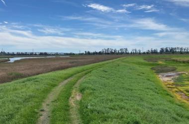 Napa River Site