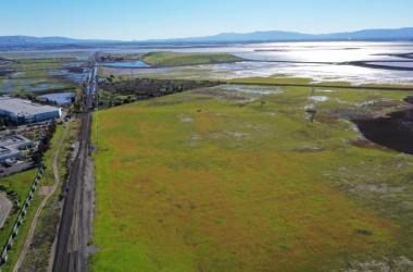 Newark Baylands