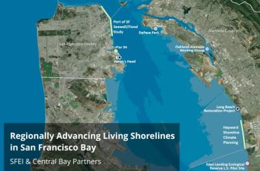 SFEI Advancing Living Shorelines
