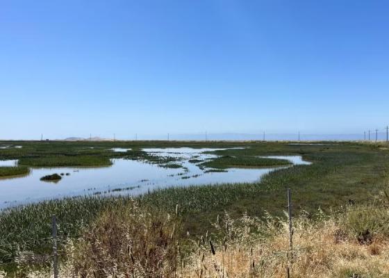 Eden Landing