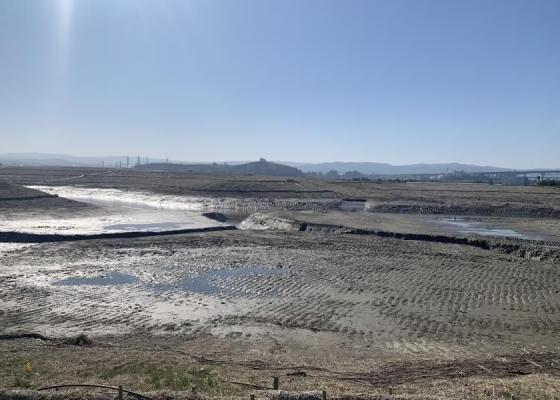 Lower Walnut Creek, Feb 2022