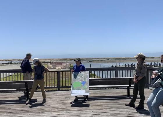 South Bay Salt Ponds