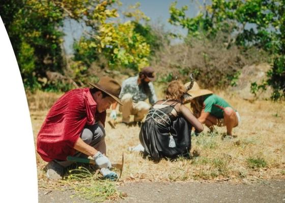 Mycelium Youth Network