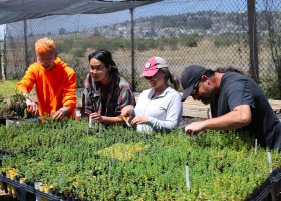 LEJ Eco-Apprentices propagate native plants at its Native Plant Nursery at Candlestick Point State Recreation Area.