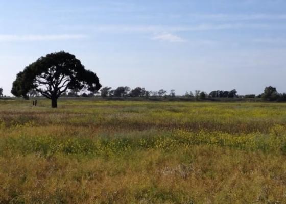 Photo of Coyote Hills