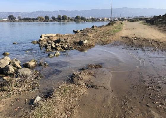 Berkeley Meadow in King Tide