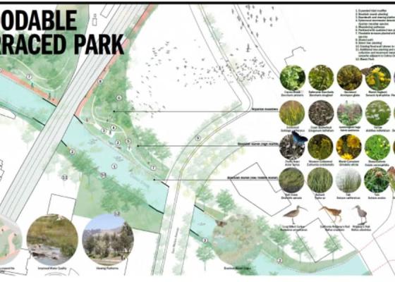 Colma Creek Rendering