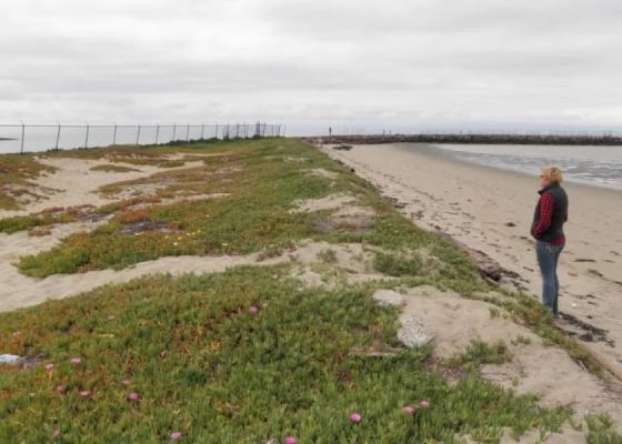 Encinal Dunes Project site