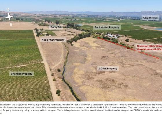 huichica creek photo