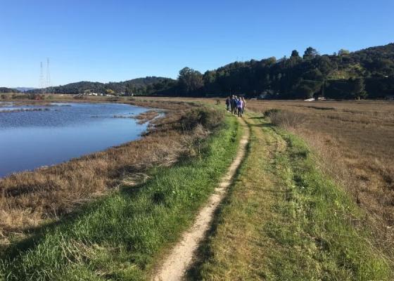 McInnes Marsh