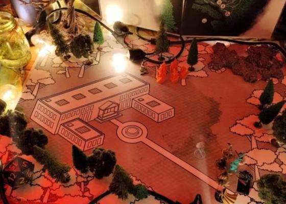 Mycelium Youth Network