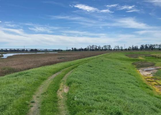 Napa River Site