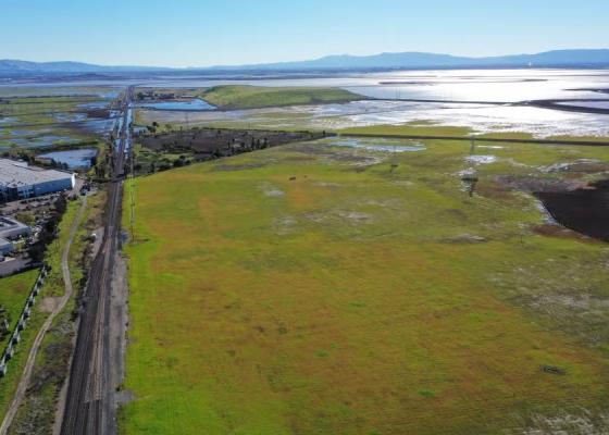 Newark Baylands