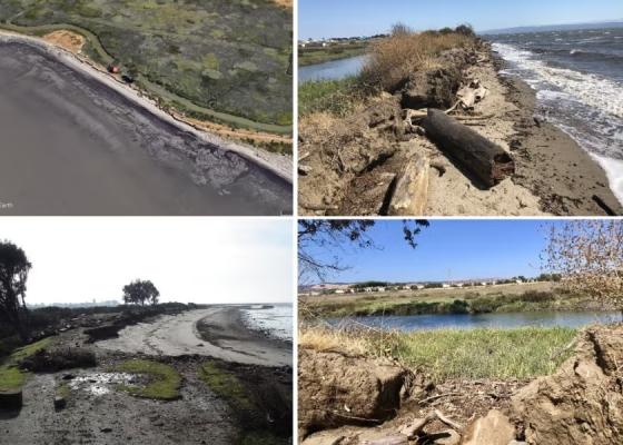 Images of Long Beach in San Leandro