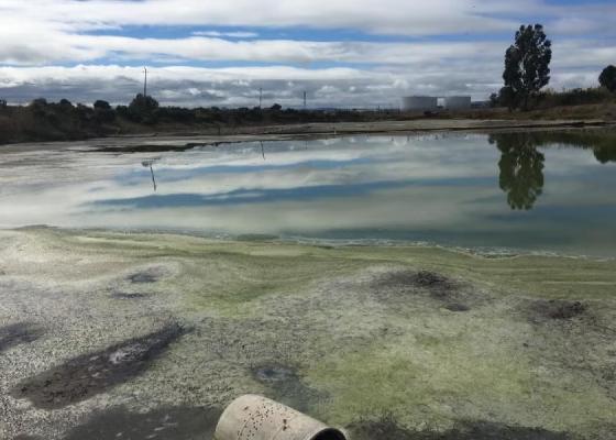 San Leandro wastewater storage basin
