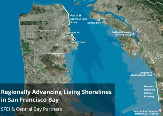 SFEI Advancing Living Shorelines