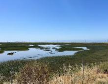 Eden Landing