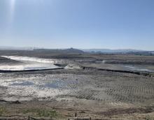 Lower Walnut Creek, Feb 2022