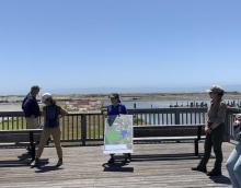 South Bay Salt Ponds