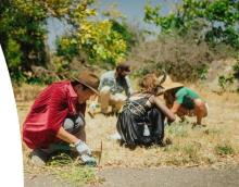 Mycelium Youth Network