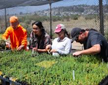 LEJ Eco-Apprentices propagate native plants at its Native Plant Nursery at Candlestick Point State Recreation Area.