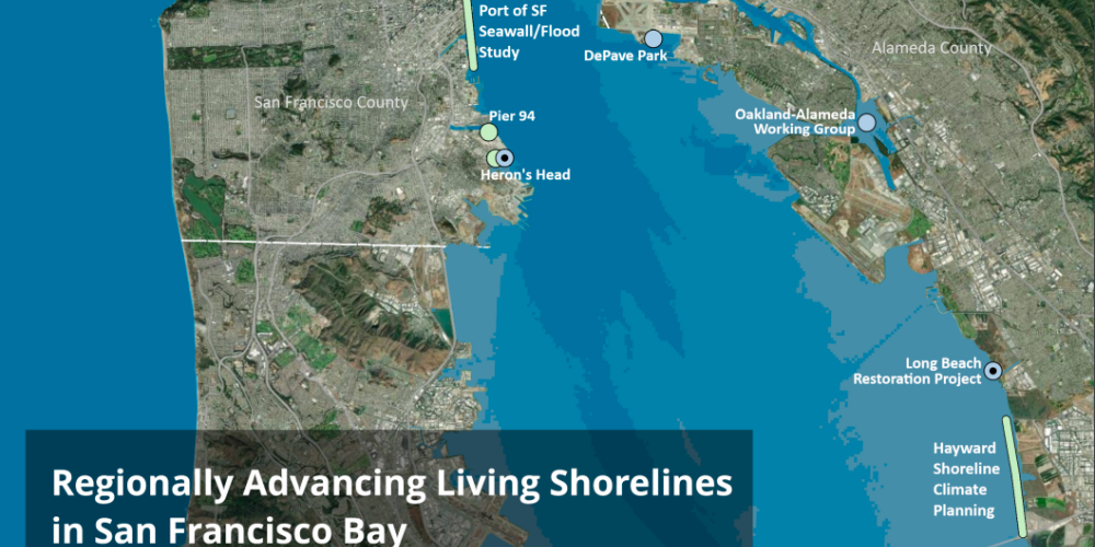 SFEI Advancing Living Shorelines