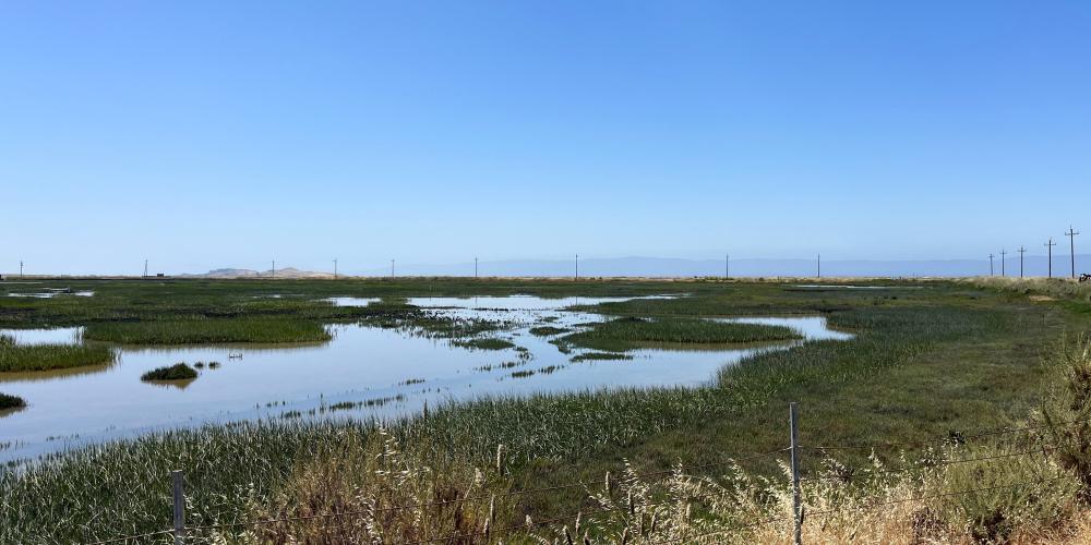 Eden Landing
