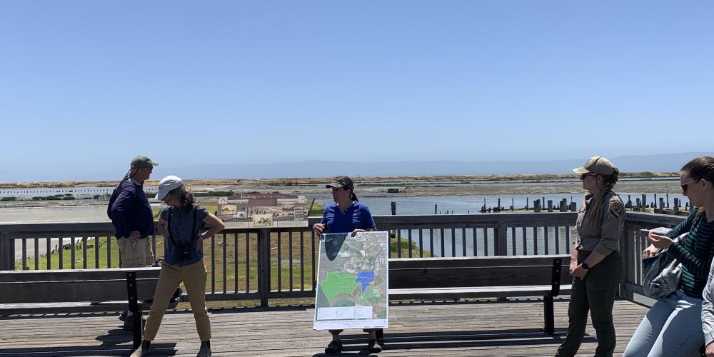 South Bay Salt Ponds