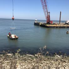 Reef Ball Installation