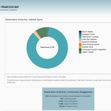 Performance measure dashboard