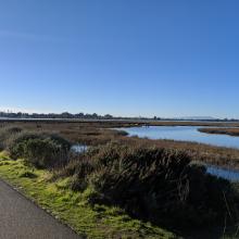 Bay Area shoreline
