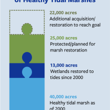 Healthy Wetlands Chart