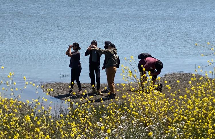 People looking at shoreline