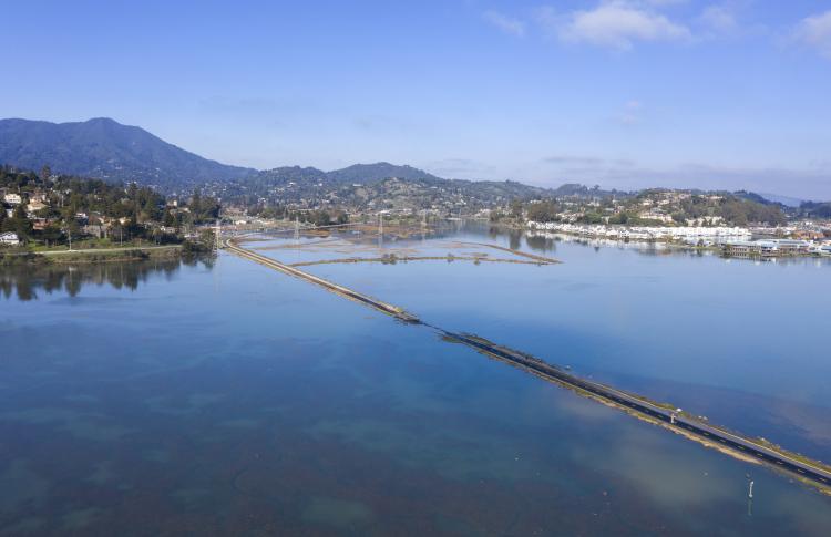 Image of flooded Marin