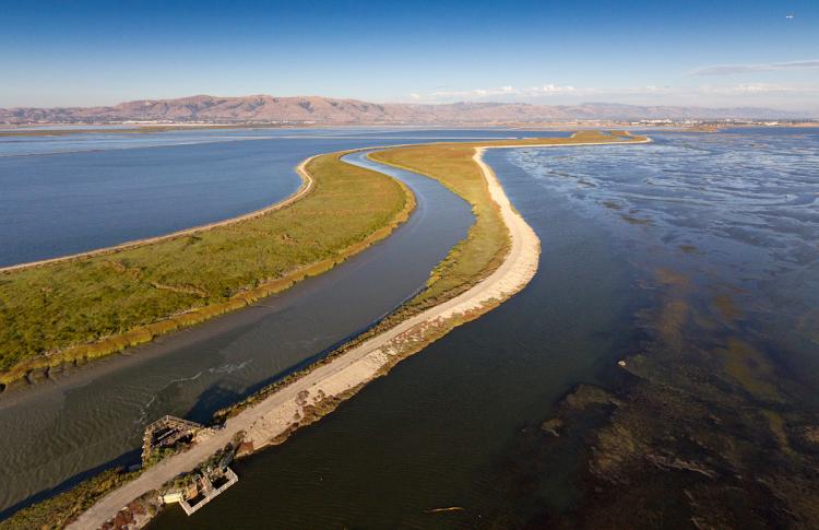 South Bay Salt Ponds. Photo: Cris Benton