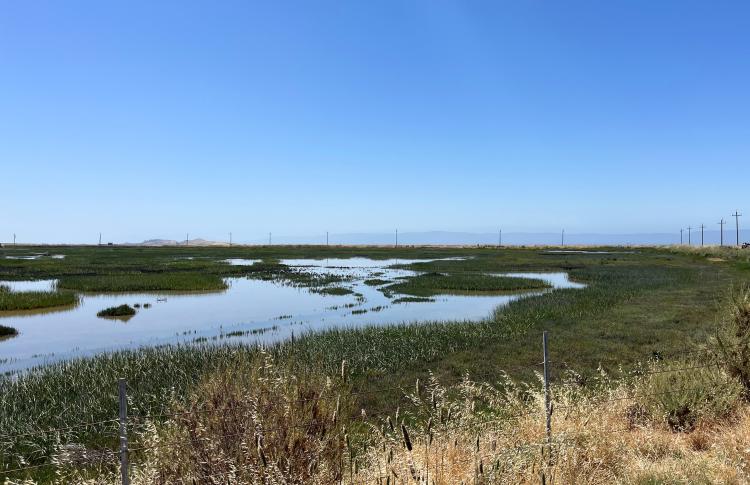 Eden Landing