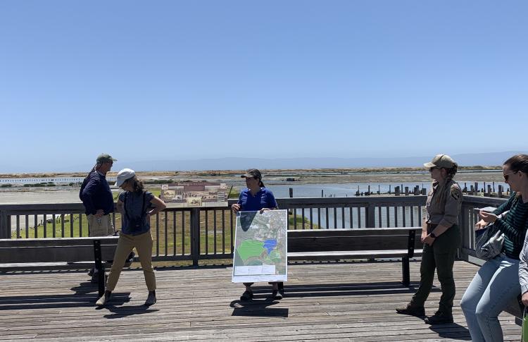 South Bay Salt Ponds