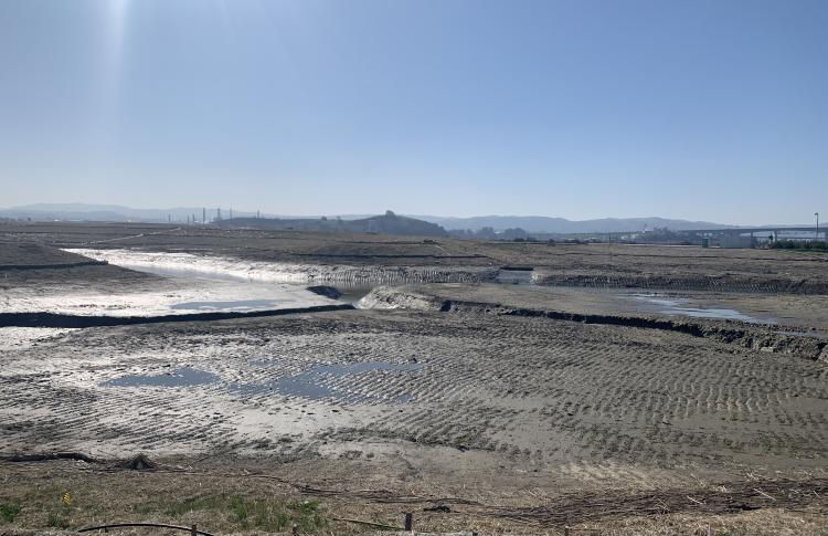 Lower Walnut Creek, Feb 2022
