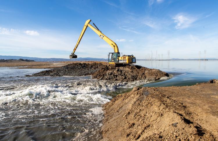 Excavator breaches the bayside levee at Ravenswood R4 pond