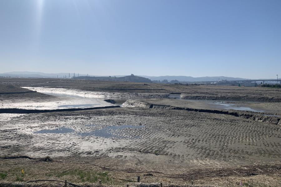 Lower Walnut Creek, Feb 2022
